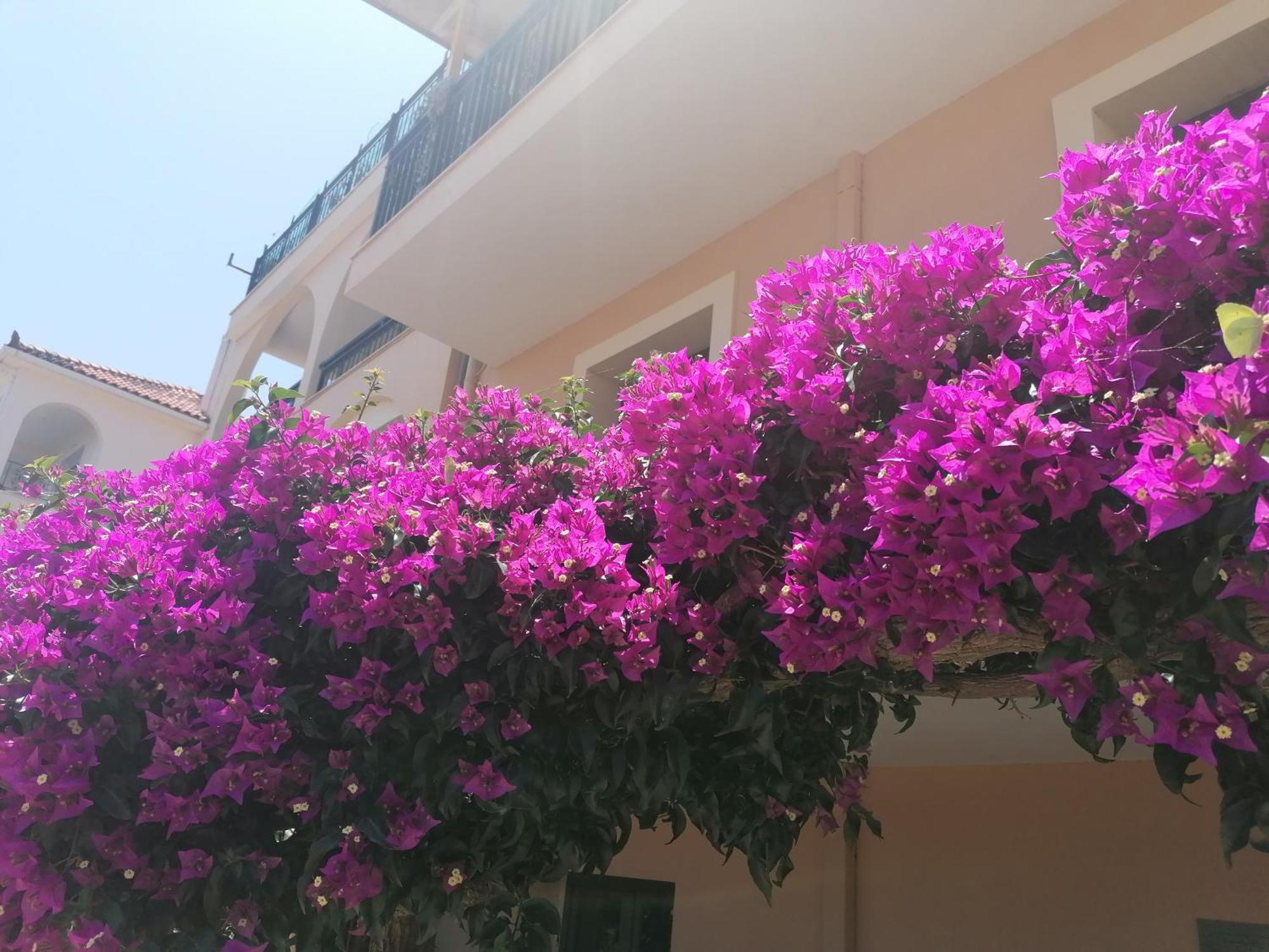 Apartment Marinos - 2nd Floor *